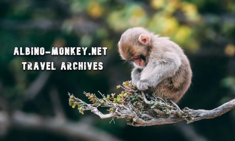 Exploring the World Through Albino-Monkey.net Travel Archives