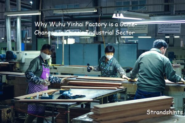 Why Wuhu Yinhai Factory is a Game-Changer in China’s Industrial Sector