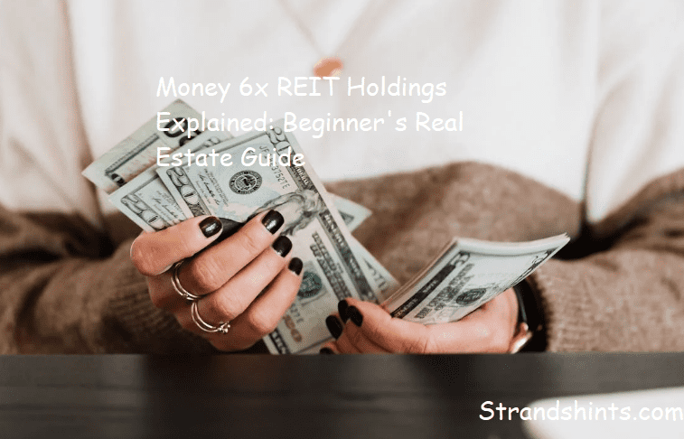 Money 6x REIT Holdings Explained: Beginner's Real Estate Guide