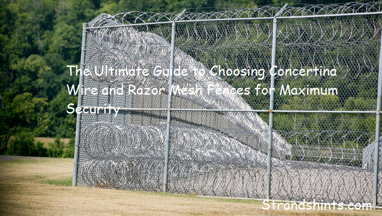 Concertina Wire and Razor Mesh Fences for Maximum Security